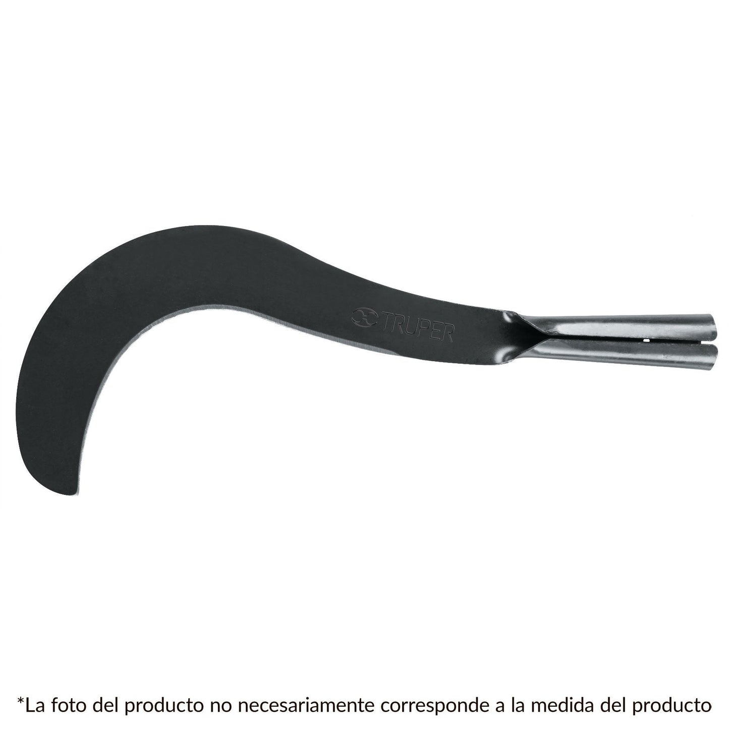 Cazanga 22"